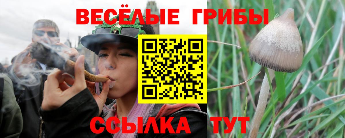 Галлюциногенные грибы мицелий  Вход с VPN  Псилоцибиновые грибы Psilocybine cubensis  Тула 